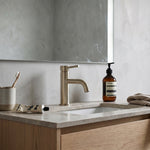 Notorious Basin Mixer Brushed Nickel
