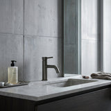 Notorious Collective Basin Mixer Gun Metal