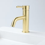Notorious Basin Mixer Brushed Gold