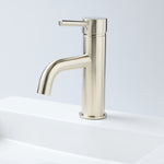 Notorious Basin Mixer Brushed Nickel