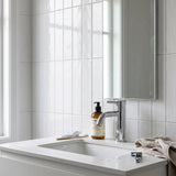 Notorious Basin Mixer