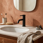 Notorious Basin Mixer Matt Black