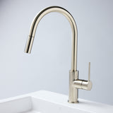 Notorious Pull-out Kitchen Laundry Mixer Brushed Nickel