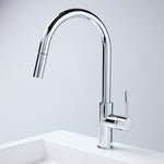 Notorious Pull-out Kitchen Laundry Mixer Chrome