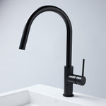 Notorious Pull-out Kitchen Laundry Mixer Matt Black