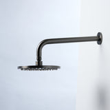 Notorious Showerhead on Wall Gun Metal