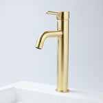 Notorious Tall Basin Mixer Brushed Gold