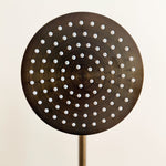TNC Showerhead Antique Brass