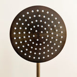 TNC Showerhead Antique Brass